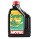 Масло для садовой техники Motul Garden 4T 10W30 